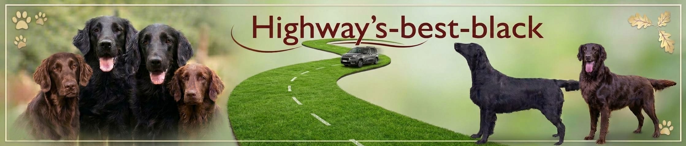 Highways Best Black