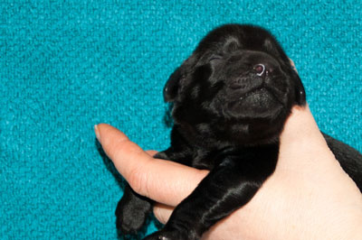 2015-01-19-0279-lila