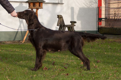 20150104-DSC 0166-bearb